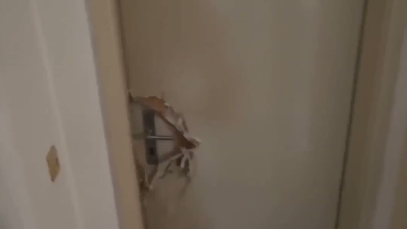 Detailframe