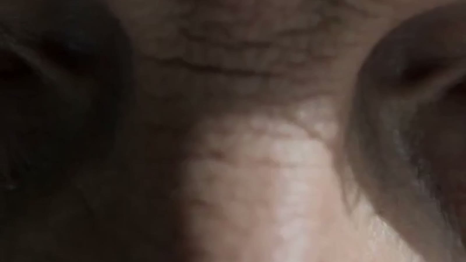 Detailframe